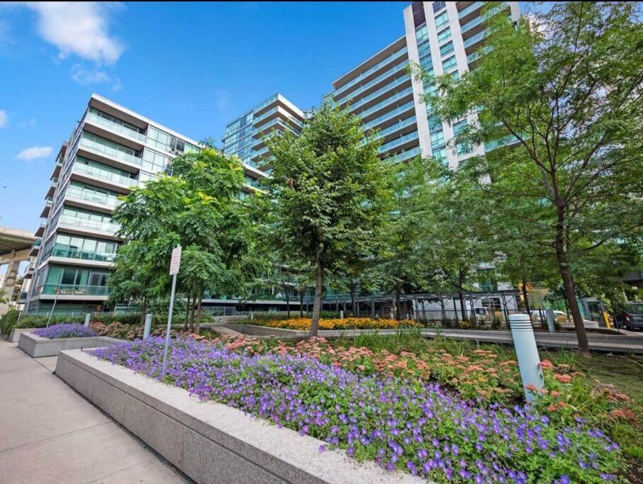Cn Tower View With Free Parking, Pool, & More Amenities Toronto Exteriér fotografie